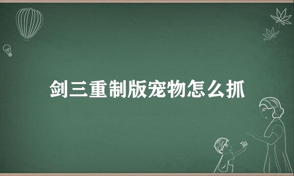 剑三重制版宠物怎么抓