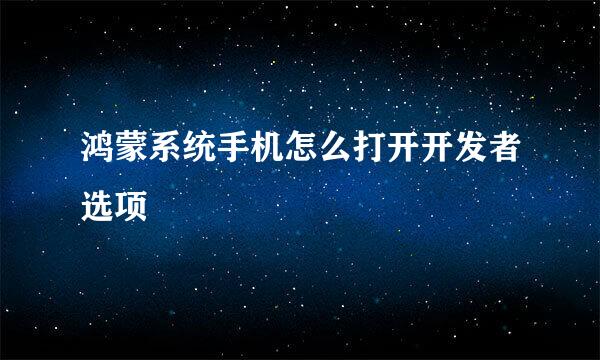 鸿蒙系统手机怎么打开开发者选项