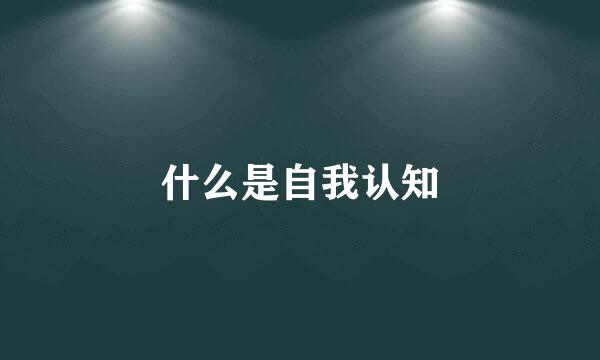 什么是自我认知