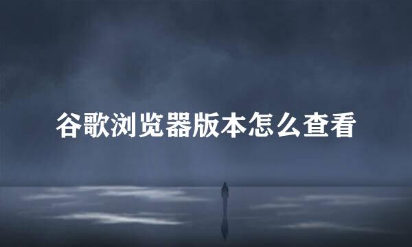 谷歌浏览器版本怎么查看