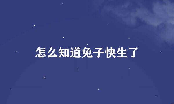 怎么知道兔子快生了