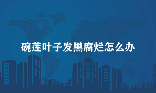 碗莲叶子发黑腐烂怎么办