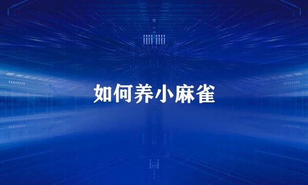 如何养小麻雀