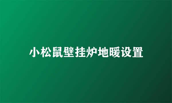 小松鼠壁挂炉地暖设置