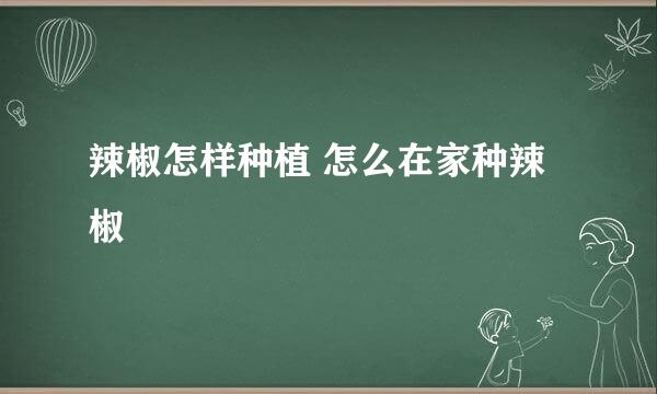辣椒怎样种植 怎么在家种辣椒