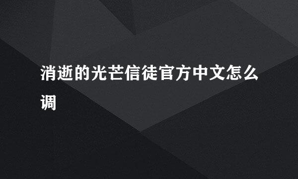 消逝的光芒信徒官方中文怎么调