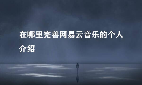 在哪里完善网易云音乐的个人介绍