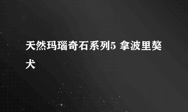 天然玛瑙奇石系列5 拿波里獒犬