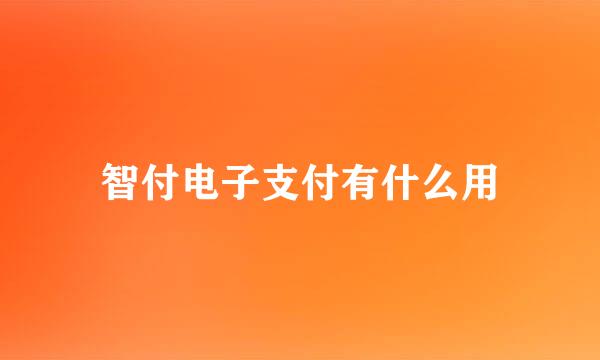 智付电子支付有什么用