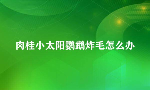 肉桂小太阳鹦鹉炸毛怎么办