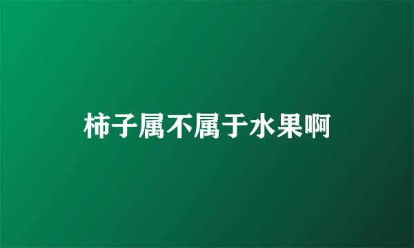 柿子属不属于水果啊