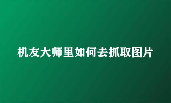机友大师里如何去抓取图片