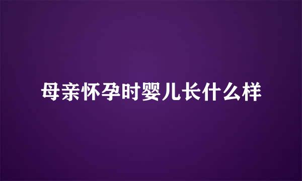 母亲怀孕时婴儿长什么样