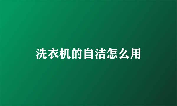 洗衣机的自洁怎么用