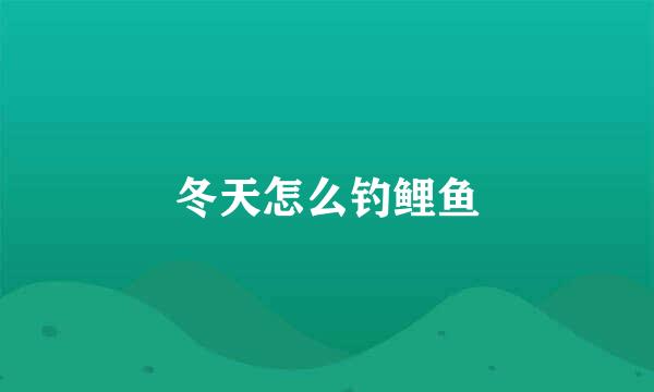 冬天怎么钓鲤鱼