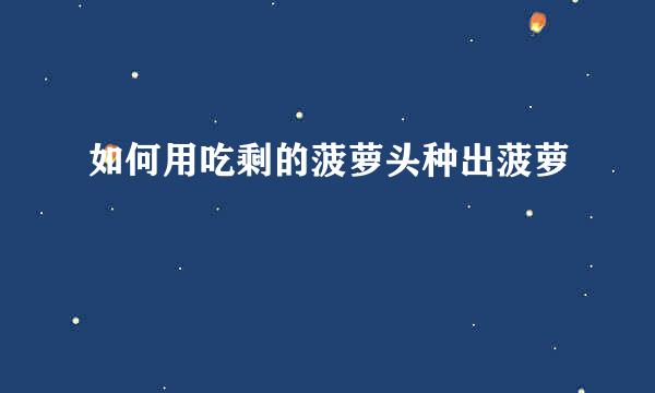 如何用吃剩的菠萝头种出菠萝