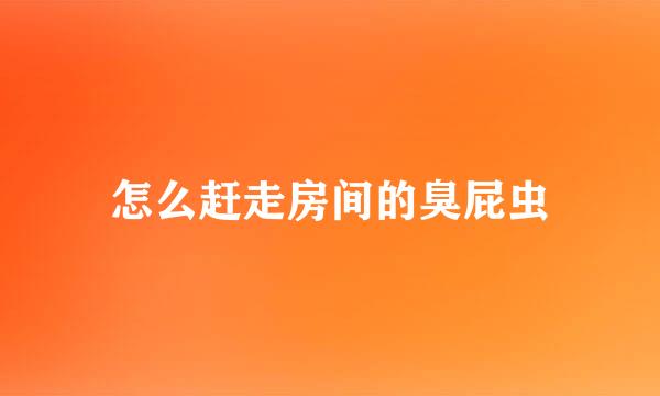 怎么赶走房间的臭屁虫