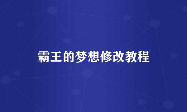 霸王的梦想修改教程