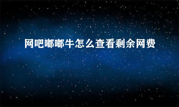 网吧嘟嘟牛怎么查看剩余网费