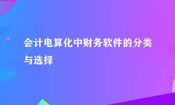 会计电算化中财务软件的分类与选择
