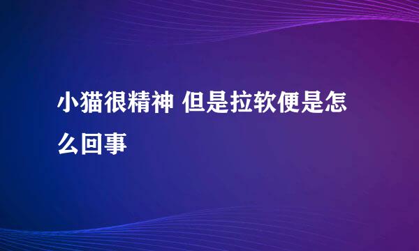 小猫很精神 但是拉软便是怎么回事