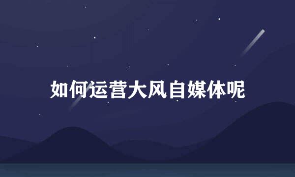 如何运营大风自媒体呢