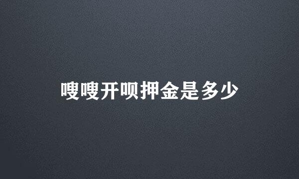 嗖嗖开呗押金是多少