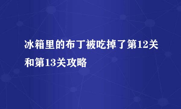 冰箱里的布丁被吃掉了第12关和第13关攻略