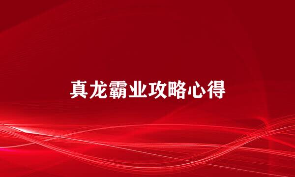 真龙霸业攻略心得
