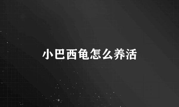 小巴西龟怎么养活