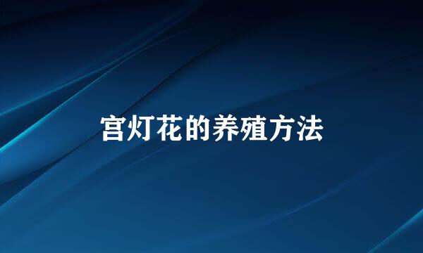 宫灯花的养殖方法