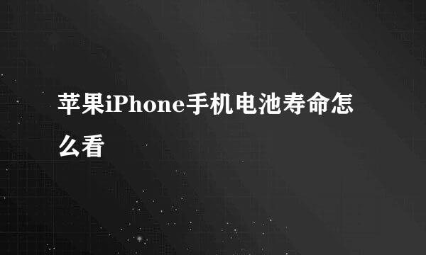 苹果iPhone手机电池寿命怎么看