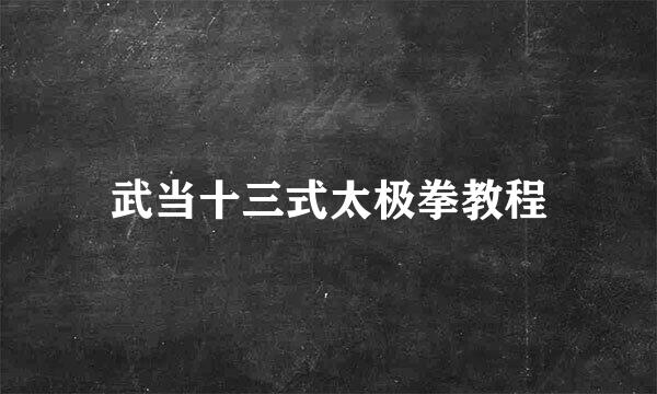 武当十三式太极拳教程