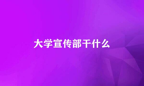 大学宣传部干什么