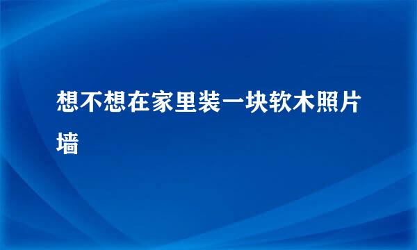 想不想在家里装一块软木照片墙