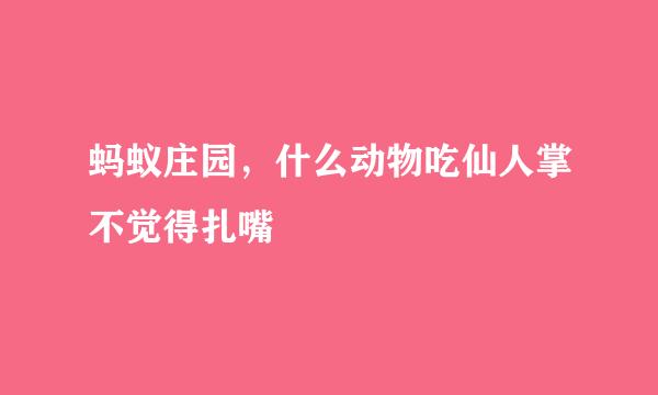 蚂蚁庄园，什么动物吃仙人掌不觉得扎嘴