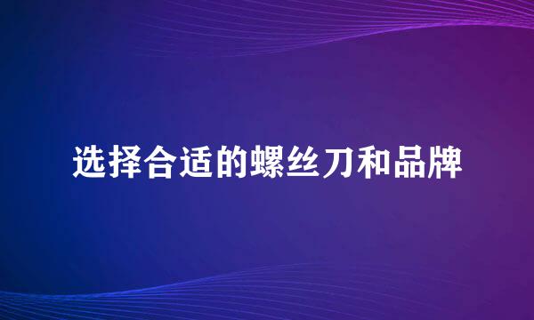 选择合适的螺丝刀和品牌