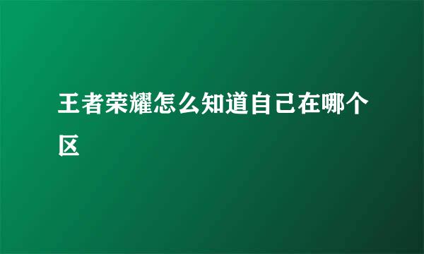 王者荣耀怎么知道自己在哪个区