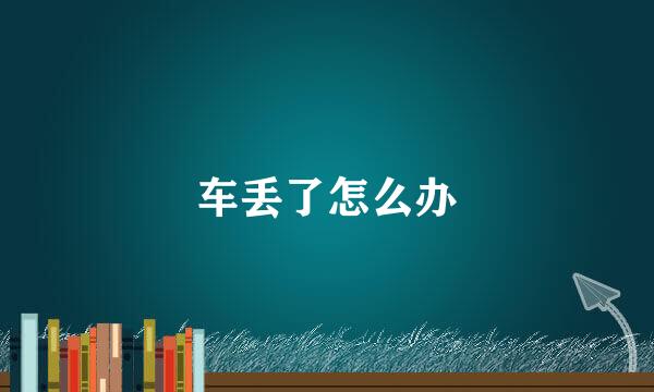 车丢了怎么办