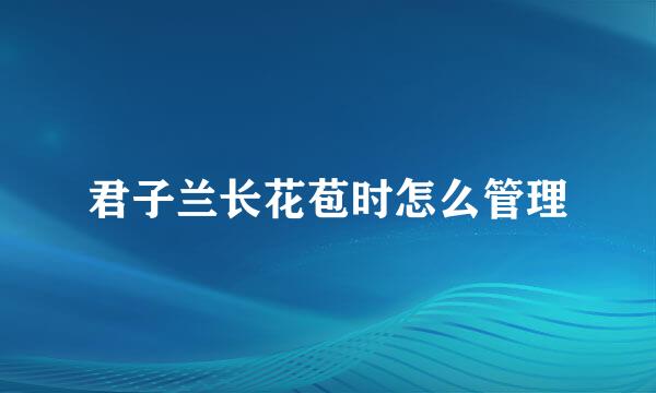 君子兰长花苞时怎么管理