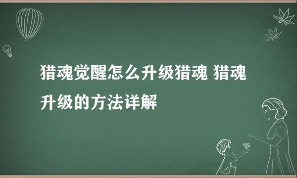 猎魂觉醒怎么升级猎魂 猎魂升级的方法详解