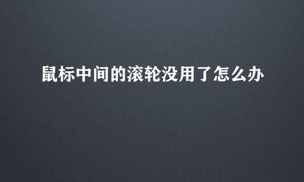 鼠标中间的滚轮没用了怎么办