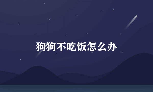 狗狗不吃饭怎么办