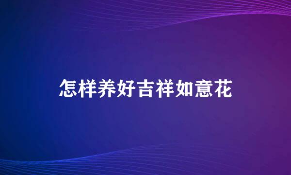 怎样养好吉祥如意花