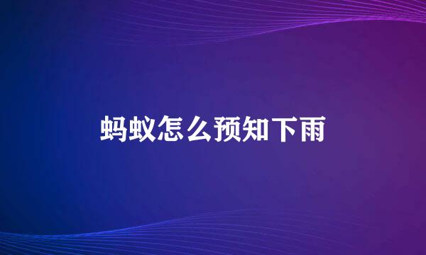 蚂蚁怎么预知下雨