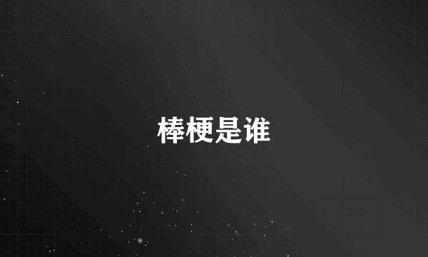 棒梗是谁