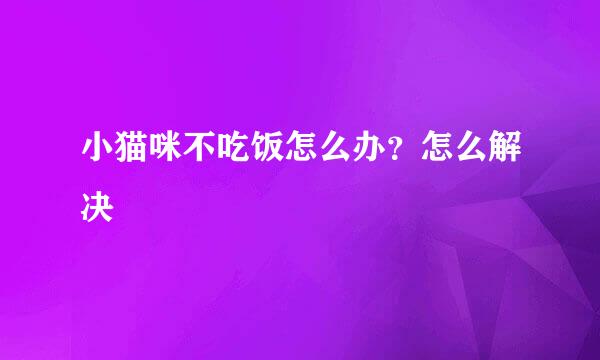 小猫咪不吃饭怎么办？怎么解决