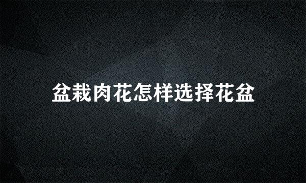 盆栽肉花怎样选择花盆