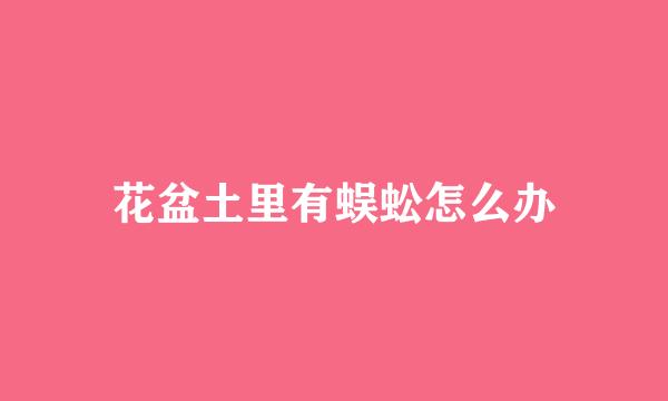花盆土里有蜈蚣怎么办