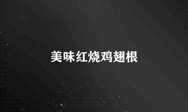 美味红烧鸡翅根